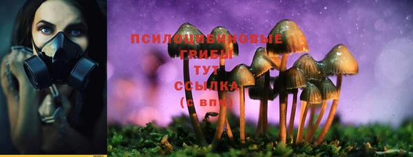 спайс Абинск