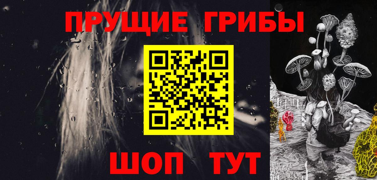 Псилоцибиновые грибы мицелий Ростов-на-Дону