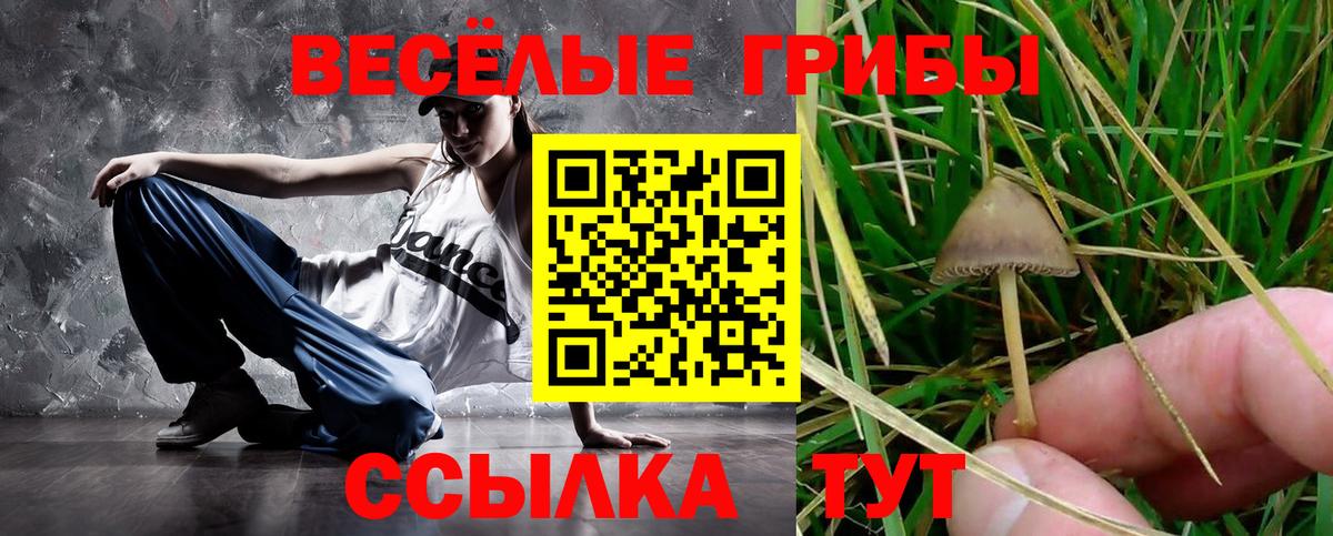 МЕФ Ростов-на-Дону